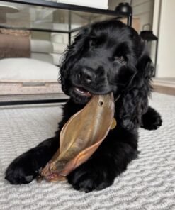 Cooper
